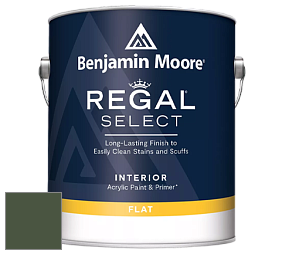 Benjamin Moore 547 Regal Select Waterborne Interior Flat Finish краска цвет NCS S 7020-G30Y 