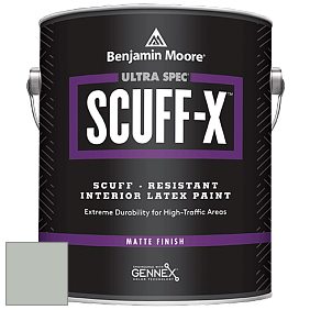 Benjamin Moore 484 Ultra Spec SCUFF-X Interior Matte Finish краска цвет AF-490 