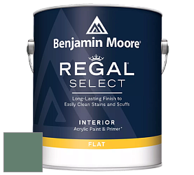 Benjamin Moore 547 Regal Select Waterborne Interior Flat Finish краска цвет NCS S 5020-G 