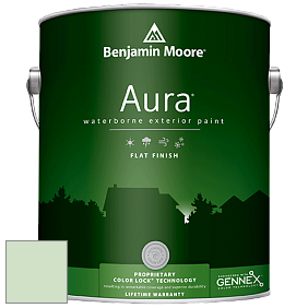 Benjamin Moore Aura 629 Waterborne Exterior Flat Finish краска цвет 2034-60 Light Pistachio
