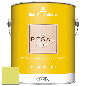 Benjamin Moore 547 Regal Select Waterborne Interior Flat Finish краска цвет NCS S 0550-G60Y 