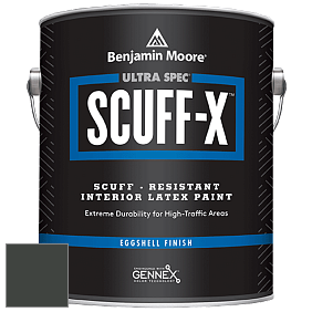 Benjamin Moore 485 Ultra Spec SCUFF-X Interior Eggshell Finish краска цвет NCS S 8505-G20Y 
