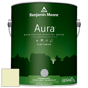 Benjamin Moore Aura 629 Waterborne Exterior Flat Finish краска цвет 2028-60 Celadon Green