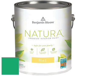 Benjamin Moore 512 Natura Interior Flat Finish матовая краска цвет NCS S 1565-G 
