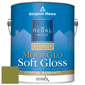 Benjamin Moore W096 Regal Select Exterior Paint-Moor GloSoft Gloss Finish краска цвет 2146-10 Dark Celery