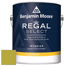 Benjamin Moore 547 Regal Select Waterborne Interior Flat Finish краска цвет NCS S 2060-G70Y 