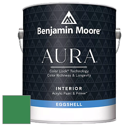 Benjamin Moore Aura 524 Waterborne Interior Eggshell Finish краска цвет NCS S 3060-G10Y 