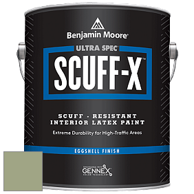 Benjamin Moore 485 Ultra Spec SCUFF-X Interior Eggshell Finish краска цвет NCS S 3020-G40Y 