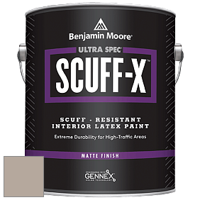 Benjamin Moore 484 Ultra Spec SCUFF-X Interior Matte Finish краска цвет NCS S 3005-Y50R 