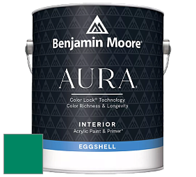 Benjamin Moore Aura 524 Waterborne Interior Eggshell Finish краска цвет NCS S 3060-B90G 