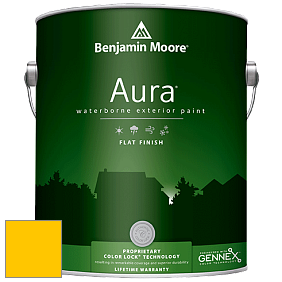 Benjamin Moore Aura 629 Waterborne Exterior Flat Finish краска цвет 2022-10 Yellow