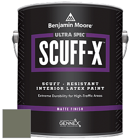 Benjamin Moore 484 Ultra Spec SCUFF-X Interior Matte Finish краска цвет NCS S 6010-G50Y 