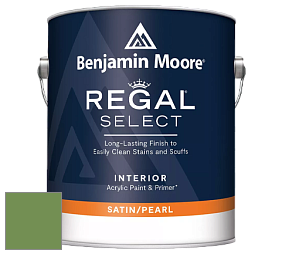 Benjamin Moore 550 Regal Select Waterborne Interior Pearl Finish краска цвет NCS S 3050-G30Y 
