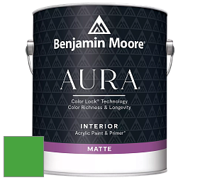 Benjamin Moore Aura 522 Interior Paint - Matte краска цвет RAL 6018 