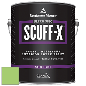 Benjamin Moore 484 Ultra Spec SCUFF-X Interior Matte Finish краска цвет 2030-40 Spring Leaf