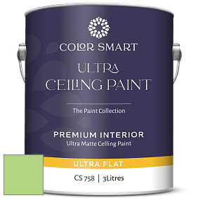 COLOR SMART CS 758 ULTRA CEILING PAINT ультраматовая краска цвет NCS S 0550-G30Y 