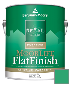 Краска Regal Select Exterior Paint-MoorLife Flat Finish (W105) цвет 2039-30 Cabana Green