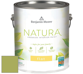 Benjamin Moore 512 Natura Interior Flat Finish матовая краска цвет NCS S 2050-G50Y 