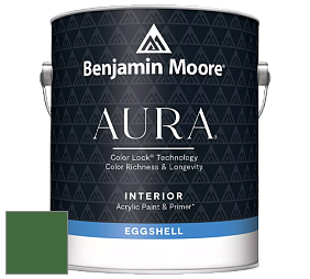 Benjamin Moore Aura 524 Waterborne Interior Eggshell Finish краска цвет NCS S 4550-G20Y 