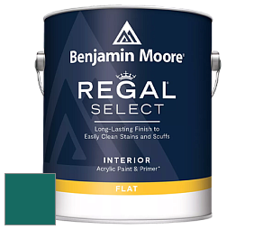 Benjamin Moore 547 Regal Select Waterborne Interior Flat Finish краска цвет NCS S 5040-B60G 