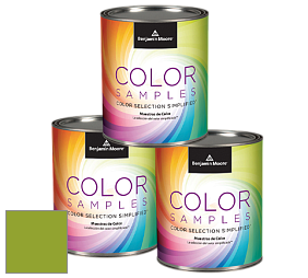 Benjamin Moore 127 Color Samples 0,465 л краска-пробник цвет 2028-20 Douglas Fir