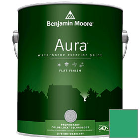 Краска Aura Waterborne Exterior Flat Finish (629) цвет 2039-30 Cabana Green