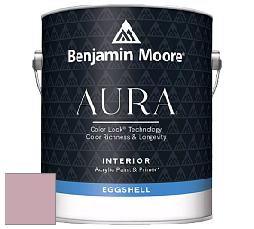 Benjamin Moore Aura 524 Waterborne Interior Eggshell Finish краска цвет NCS S 2020-R20B 