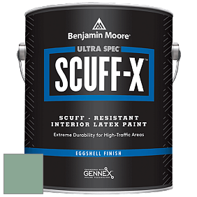 Benjamin Moore 485 Ultra Spec SCUFF-X Interior Eggshell Finish краска цвет NCS S 3020-G 