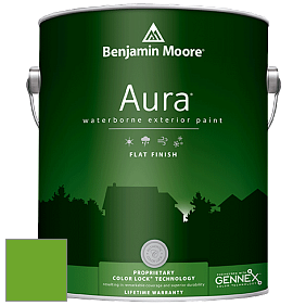Benjamin Moore Aura 629 Waterborne Exterior Flat Finish краска цвет 2030-20 Tropical Seaweed Green
