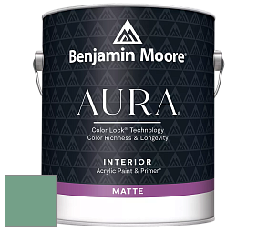 Benjamin Moore Aura 522 Interior Paint - Matte краска цвет NCS S 3030-G 