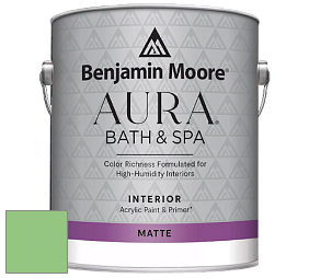 Benjamin Moore Aura 532 Bath & Spa Waterborne Interior Paint Matte Finish краска цвет NCS S 1050-G20Y 