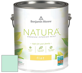 Benjamin Moore 512 Natura Interior Flat Finish матовая краска цвет 2038-60 Tropical Pool