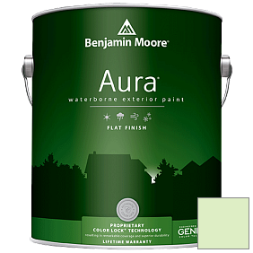 Краска Aura Waterborne Exterior Flat Finish (629) цвет 2030-60 Celery Ice