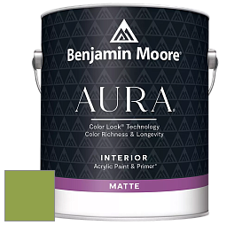 Benjamin Moore Aura 522 Interior Paint - Matte краска цвет NCS S 2060-G40Y 