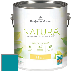 Benjamin Moore 512 Natura Interior Flat Finish матовая краска цвет NCS S 3050-B20G 