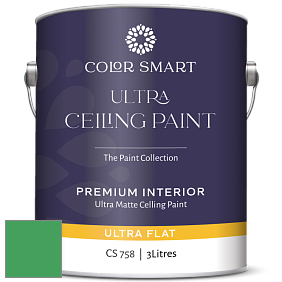 COLOR SMART CS 758 ULTRA CEILING PAINT ультраматовая краска цвет 2037-30 Kelly Green