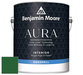 Benjamin Moore Aura 524 Waterborne Interior Eggshell Finish краска цвет RAL 6002 