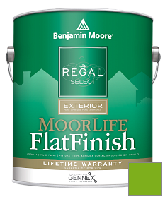 Краска Regal Select Exterior Paint-MoorLife Flat Finish (W105) цвет 2031-20 Paradise Green