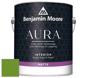 Benjamin Moore Aura 522 Interior Paint - Matte краска цвет 2029-10 Basil Green