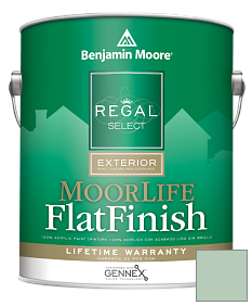 Краска Regal Select Exterior Paint-MoorLife Flat Finish (W105) цвет 626 Etched Glass