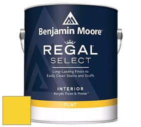 Benjamin Moore 547 Regal Select Waterborne Interior Flat Finish краска цвет NCS S 0570-G90Y 