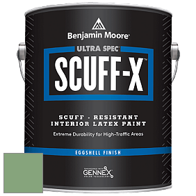 Benjamin Moore 485 Ultra Spec SCUFF-X Interior Eggshell Finish краска цвет RAL 6021 