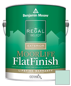 Краска Regal Select Exterior Paint-MoorLife Flat Finish (W105) цвет 646 Hannity Green