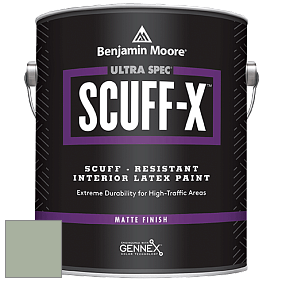 Benjamin Moore 484 Ultra Spec SCUFF-X Interior Matte Finish краска цвет NCS S 3010-G30Y 