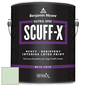 Benjamin Moore 484 Ultra Spec SCUFF-X Interior Matte Finish краска цвет 2034-60 Light Pistachio