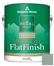Краска Regal Select Exterior Paint-MoorLife Flat Finish (W105) цвет HC-142 BM HC-142