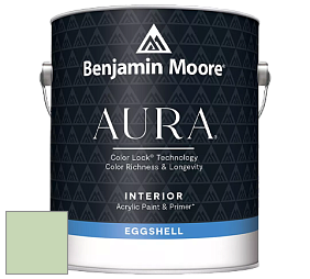 Benjamin Moore Aura 524 Waterborne Interior Eggshell Finish краска цвет NCS S 1020-G30Y 