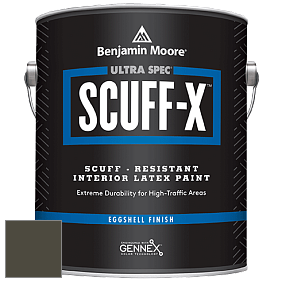 Benjamin Moore 485 Ultra Spec SCUFF-X Interior Eggshell Finish краска цвет NCS S 8010-G70Y 
