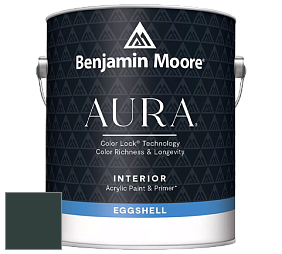 Benjamin Moore Aura 524 Waterborne Interior Eggshell Finish краска цвет RAL 6012 