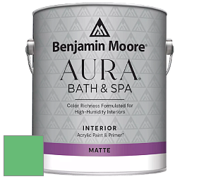 Benjamin Moore Aura 532 Bath & Spa Waterborne Interior Paint Matte Finish краска цвет NCS S 1060-G10Y 